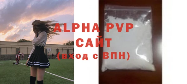индика Алексин
