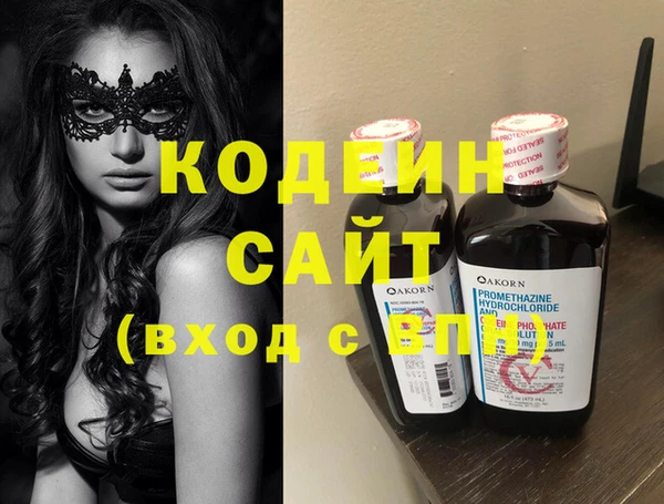 индика Алексин