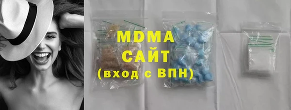 индика Алексин