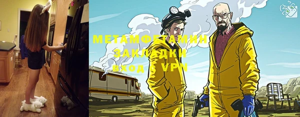 индика Алексин