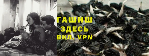 индика Алексин